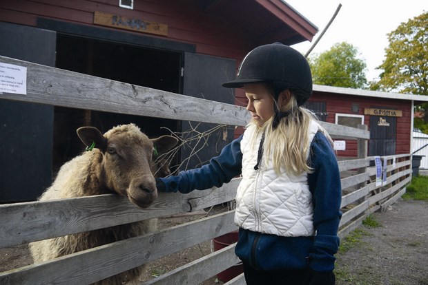 Nytt flerårigt avtal ger 4H en tryggare tillvaro Nytt flerårigt avtal ger 4H en tryggare tillvaro