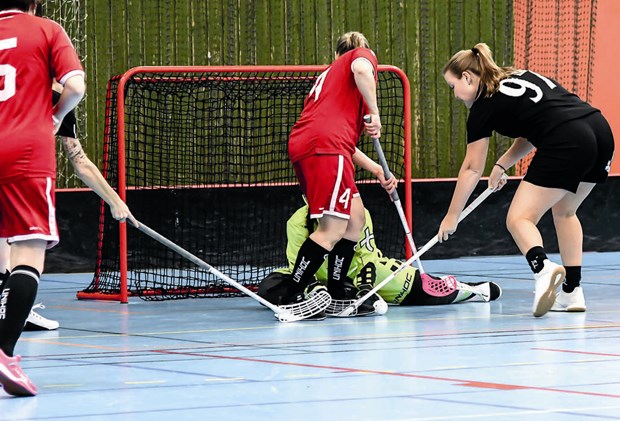 Vallentunas innebandydamer klara för div 2 nästa säsong Vallentunas innebandydamer klara för div 2 nästa säsong