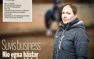 Suvis business: Nio egna hstar - och en ridskola