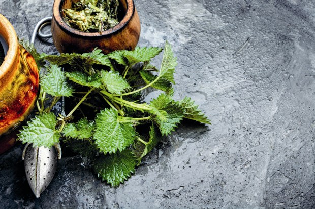 Passa p att njuta av nsslor 3 maj - hr fr du goda recept