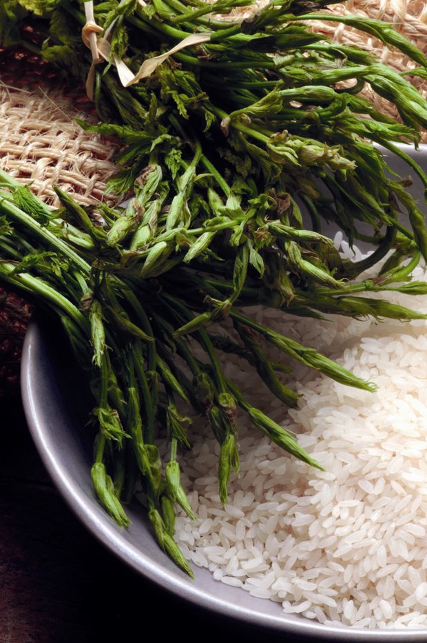 Prova att smaka humlesparris och maskrossallad