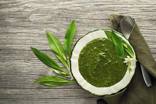 Soppa p Ramslk och pesto p Lktrav