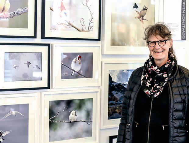 Elisabeth tar med dig på spännande fågelspaning Elisabeth tar med dig på spännande fågelspaning