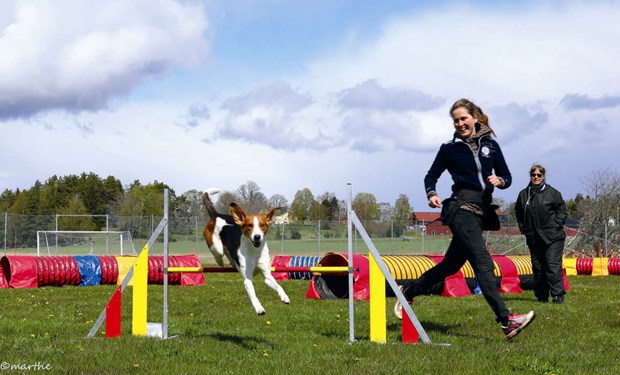 ntligen Agilitytvling!