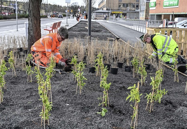 Vallentuna sjunker på miljöranking Vallentuna sjunker på miljöranking