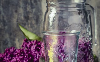 Saftig sommarsmak med hgg och syrn