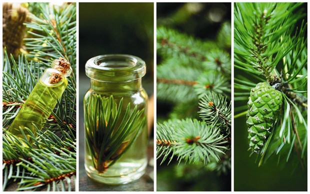 Skotten som ger smaken