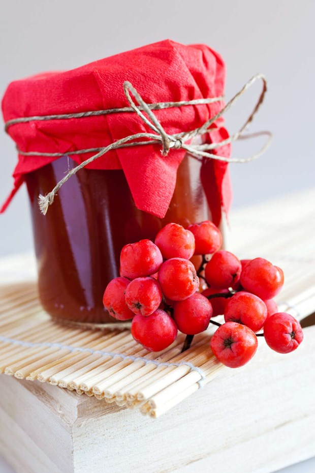 Lt rnnbren stta hstens smaker i kket