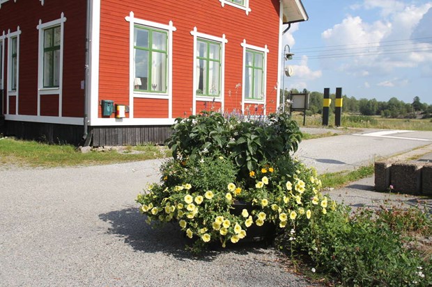 Het strid om kommunala blommor p landsbygden