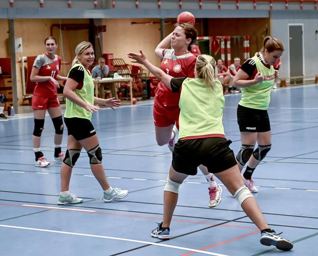 Premirfrluster fr VHK