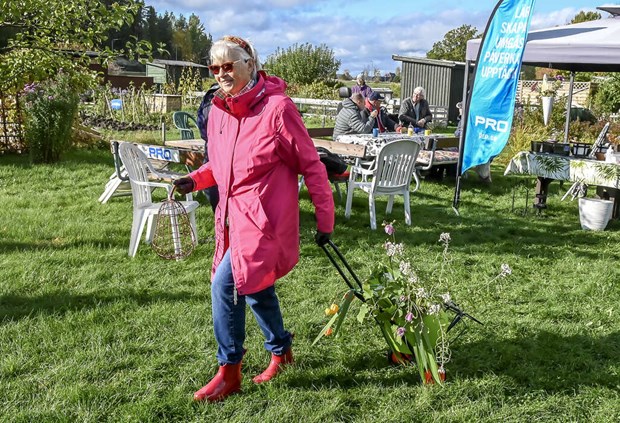 PRO fixade jordnra bytesmarknad