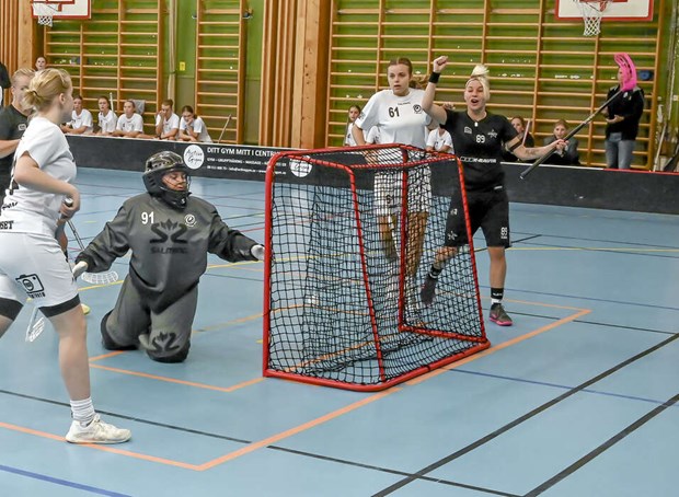 VIBK vann derbyt mot Täby VIBK vann derbyt mot Täby