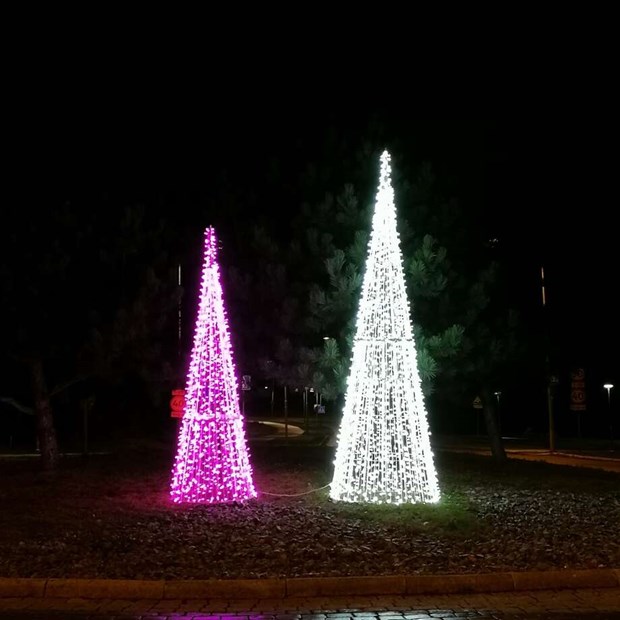 Därför försvann granarna i rondellen Därför försvann granarna i rondellen