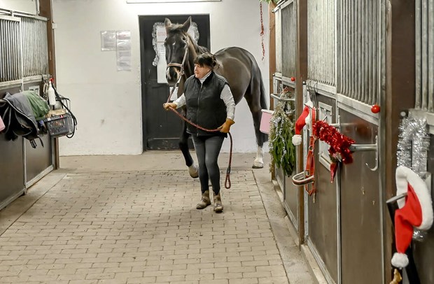 Veronica: ”Stallet har varit min räddning” Veronica: ”Stallet har varit min räddning”