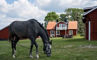 Hstgrd till salu i Markim