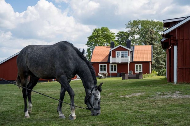 Hästgård till salu i Markim Hästgård till salu i Markim