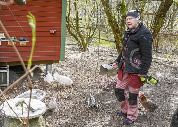 Krönika: Släktorden är så himla gamla - tusen år och mer Krönika: Släktorden är så himla gamla - tusen år och mer