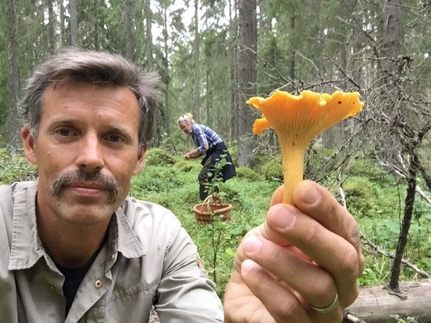 Bästa tipsen för att hitta svamp i Vallentuna Bästa tipsen för att hitta svamp i Vallentuna