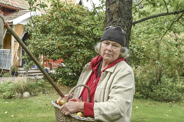 Krönika: Nu är växtsäsongen över och skörden bärgad Krönika: Nu är växtsäsongen över och skörden bärgad