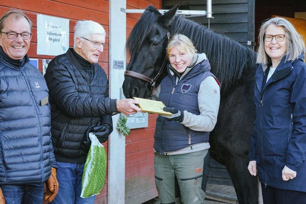 Bsta gvan till 4H  hsten Gutten