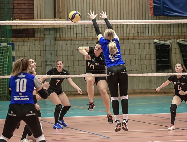Fem vinster i rad för Vallentuna Volleyboll Fem vinster i rad för Vallentuna Volleyboll