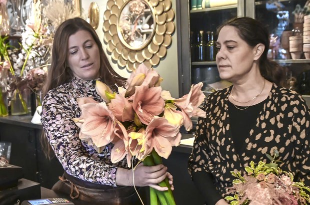 Så får du ut mer av de vanligaste julblommorna Så får du ut mer av de vanligaste julblommorna