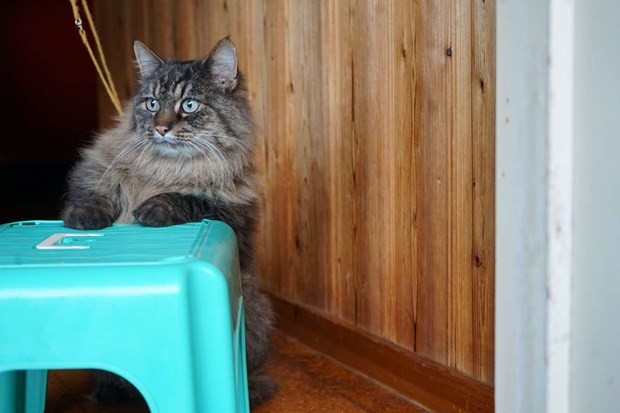 Hans liv r�ddades i sista stund