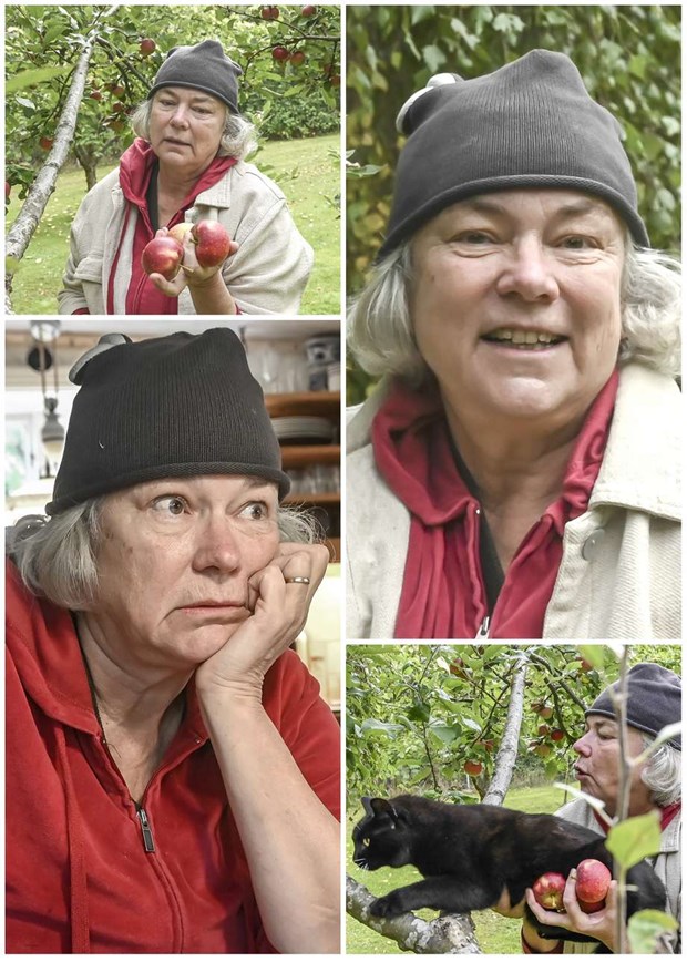 Krnika: nskar en mindre laddad hgtid 