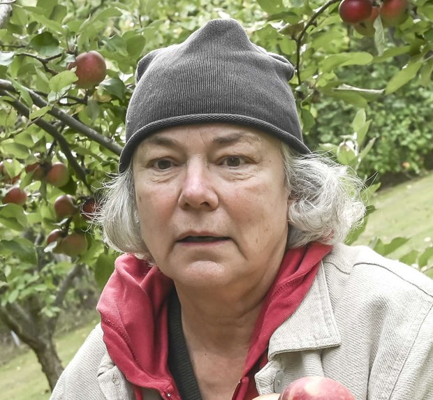 Tjugondag Knut - julgransminnen