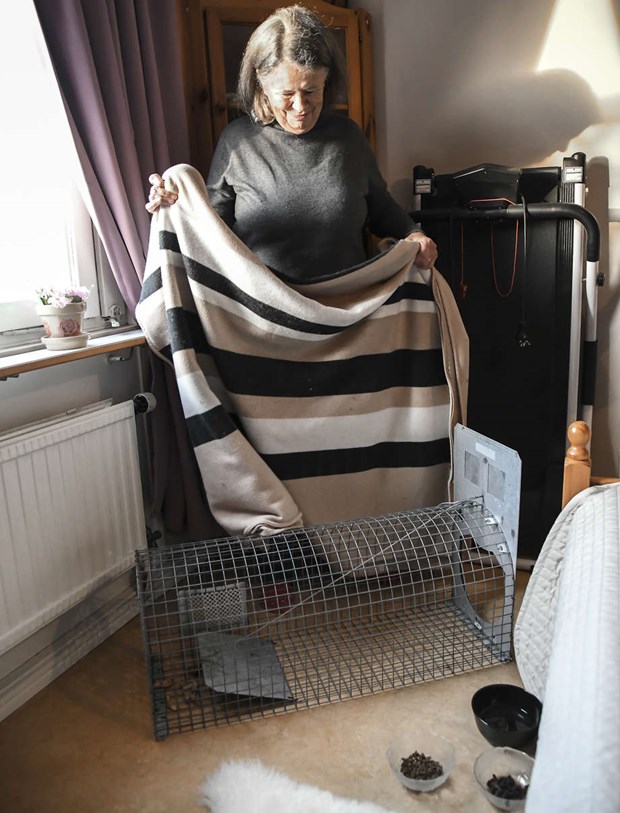 En ov�ntad inneboende - en iller