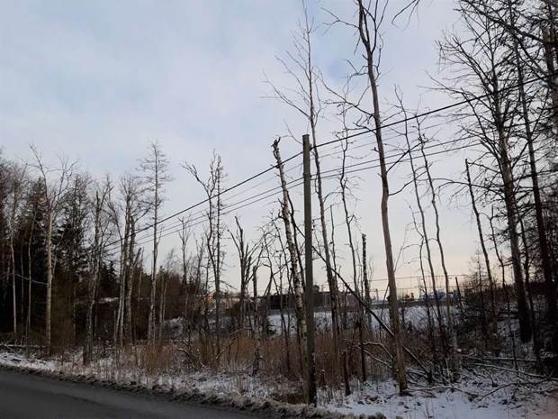 Insndare: Trddd vid Karby 