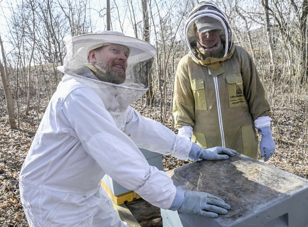 Nu b�rjar bina vakna till i tr�dg�rden