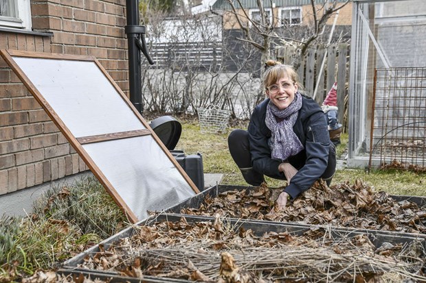 Dags att dra igng rets odling p hemmaplan