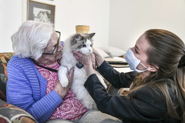 Vrdmissen som alla gillar