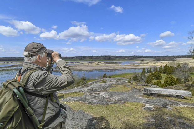 Angarnssjngen firar 40 r som naturreservat