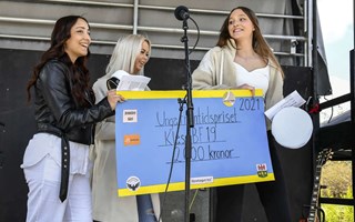 De fixade en lyckad aktivitet