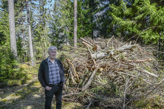Rishgar efter skogsavverkning vcker frgor bland boende i Karby