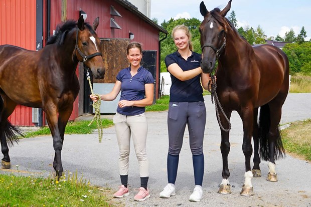 Vallentuna RK laddar fr stor dressyrtvling