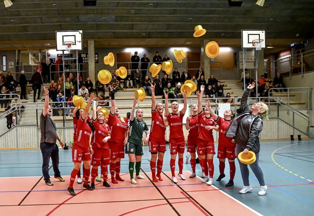 Damerna klara fr kval till hgsta serien 