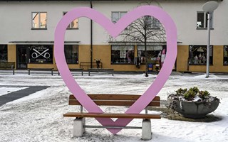 Hjrtbnkar sprider gldje i Vallentuna