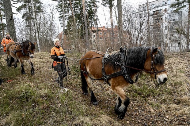 F�rsta uppdraget i Vallentuna slutf�rt