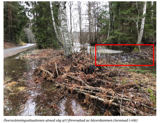 Bvrars bostad revs fr att skydda vg