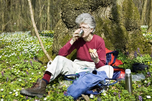 Vra vanligaste vrtecken