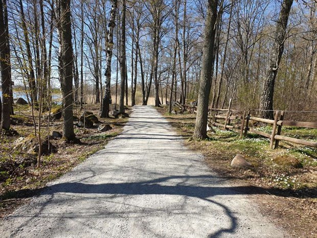 Nu rustas Bjrkby-Kyrkvikens naturreservat upp