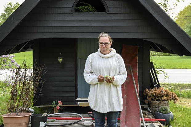 Sju ekorrar flyttade in hos familj i sby 