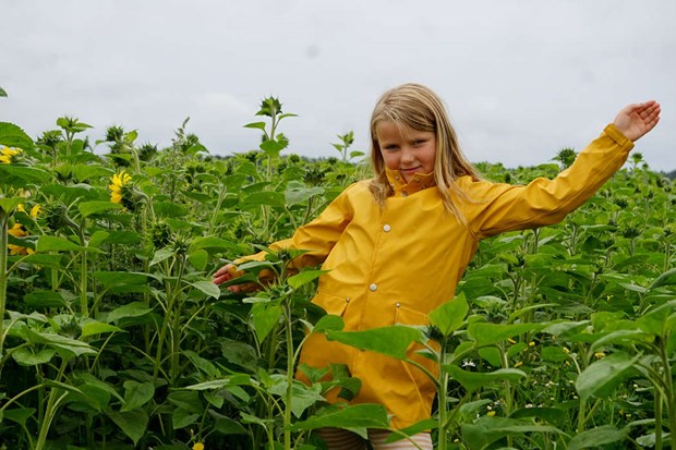 Sju�ringens initiativ sprider gl�dje och ger direkt hj�lp till Ukraina