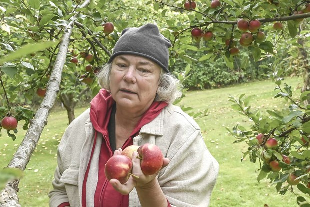 Ännu mer höst! Ännu mer höst!