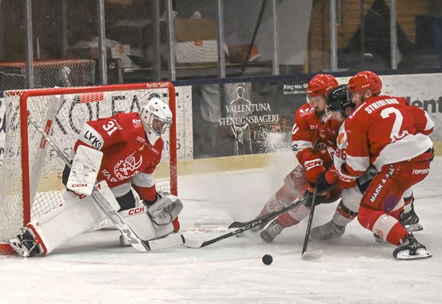 Vallentuna stal poäng i premiären Vallentuna stal poäng i premiären