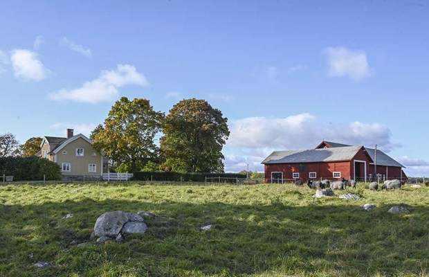 Historiska Viby g�rd i Markim ut p� marknaden