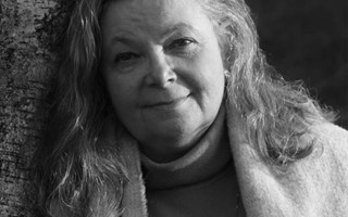 5 rd till dig som drabbats av utfrysning p jobbet